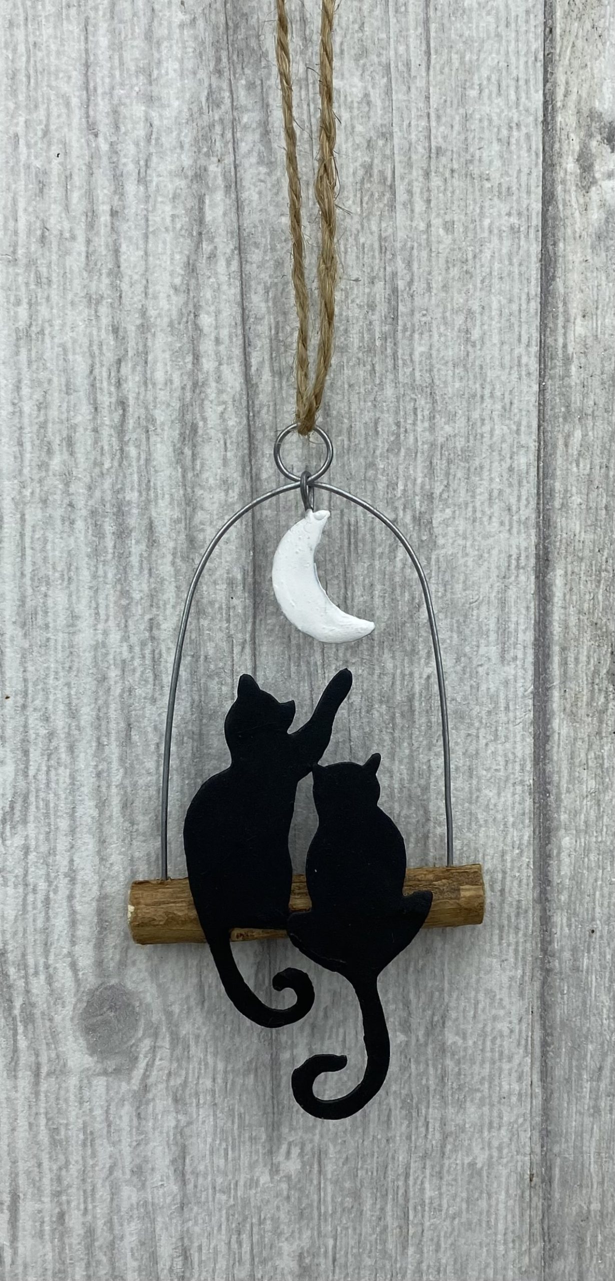 Cats and the Moon